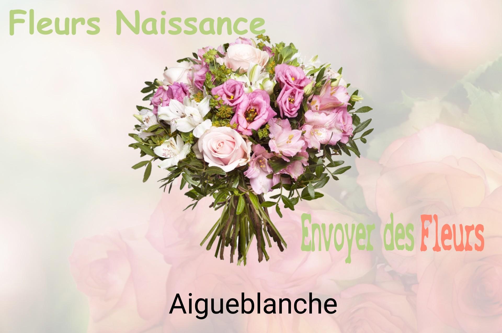 Bouquet de fleurs de naissance livré à Aigueblanche
